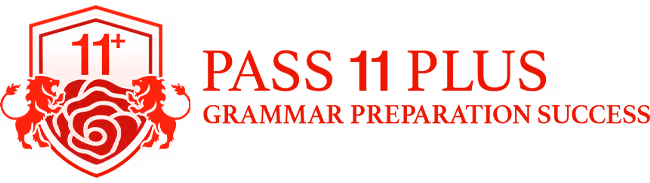 Pass 11 Plus Grammar Preparation Success