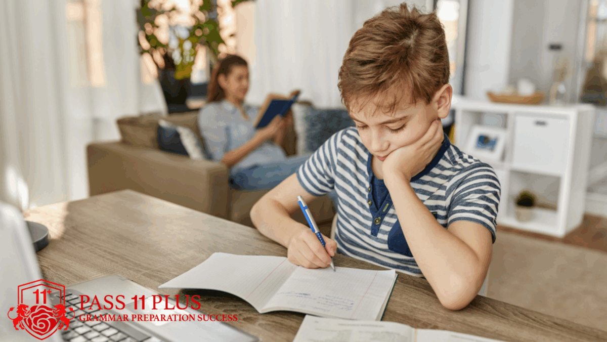 Choosing the Right 11 Plus Tutor